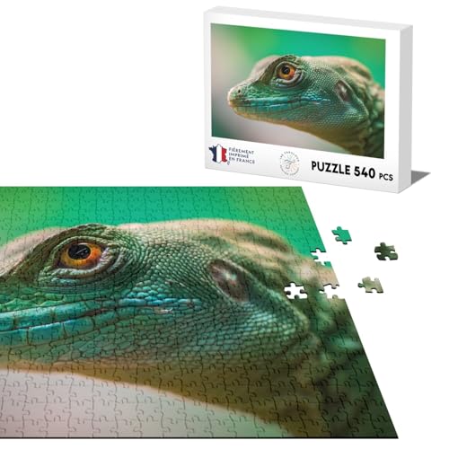 Klassische Puzzle 540 Teile Feder Basil Reptil Green Eidechse von Fabulous