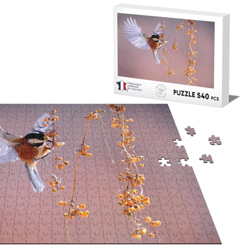 Klassische Puzzle 540 Teile Schöne Vogel Flügel Deployes Tier Wild Leben Foto Natur von Fabulous