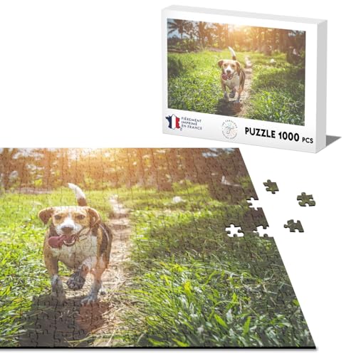 Klassisches Puzzle, 1000 Teile, Beagle auf Spaziergängen, Hund und Haustier von Fabulous