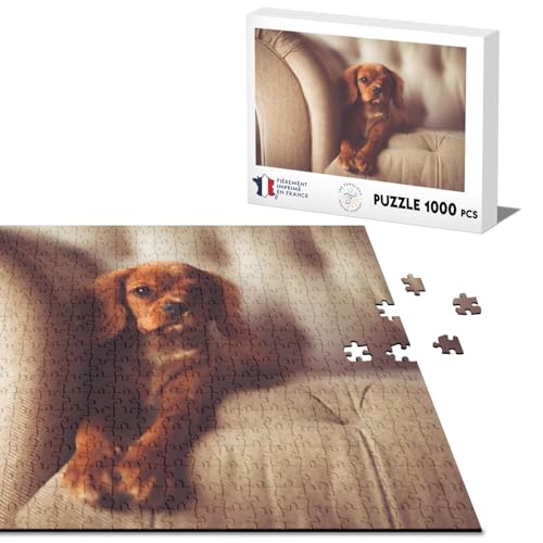 Klassisches Puzzle, 1000 Teile, Cavalier King Charles Relax Chill, Hund, niedliche Zärtlichkeit von Fabulous