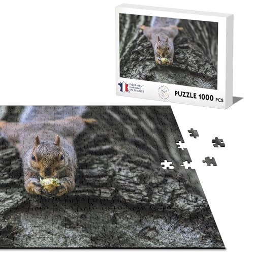 Klassisches Puzzle, 1000 Teile, Eichhörnchen, frisst eine Haselnuss auf einem Stamm von Fabulous