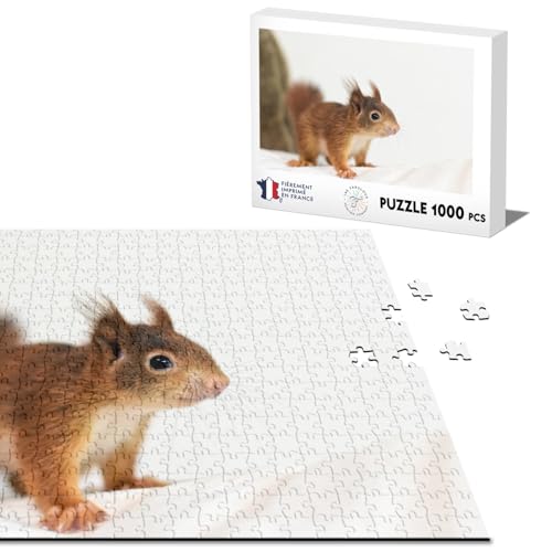 Klassisches Puzzle, 1000 Teile, Eichhörnchen, zu niedlich, Wildtiere, Natur, Innenfoto von Fabulous