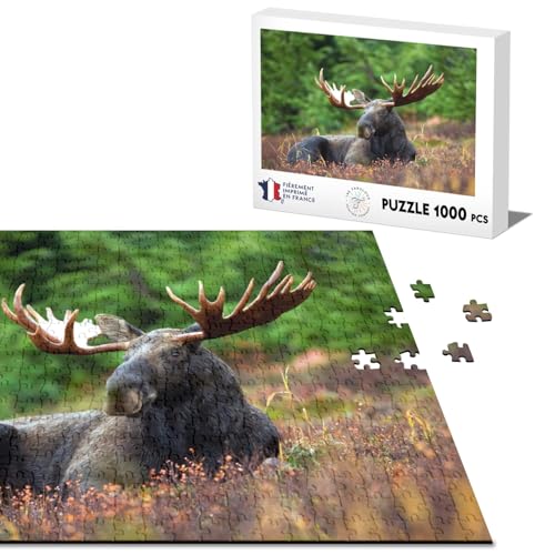 Klassisches Puzzle, 1000 Teile, Elch in einer wunderschönen Wiese, Holz, Wildnis von Fabulous