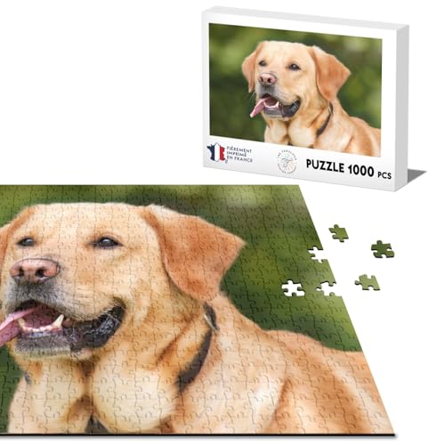 Klassisches Puzzle, 1000 Teile, Golden Retreiver, Portrait, großer Hund, Beige, niedliche Tiere von Fabulous