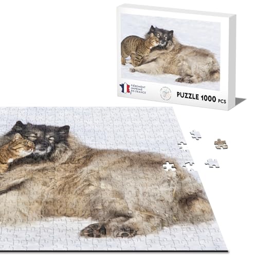 Klassisches Puzzle, 1000 Teile, Hund und Katze im Schnee, beste Freunde, niedlich von Fabulous