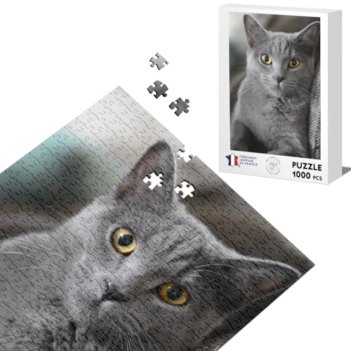 Klassisches Puzzle, 1000 Teile, Katze, Grau, Russisch, Blau, niedliche Haustiere von Fabulous