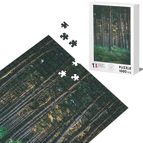 Klassisches Puzzle, 1000 Teile, Kiefernwald, mit Farn, natürliche Landschaft von Fabulous