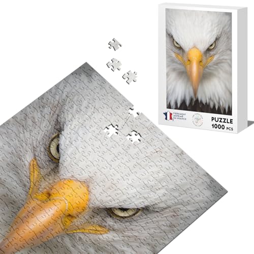 Klassisches Puzzle, 1000 Teile, Kopf Adler, Pygarg, Emblem, USA, Foto Wildtiere, Rapace von Fabulous