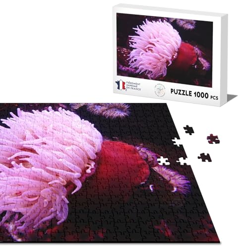 Klassisches Puzzle, 1000 Teile, Meer-Anemone, Rot und Rosa, Tauchen, Unterwasserwelt von Fabulous