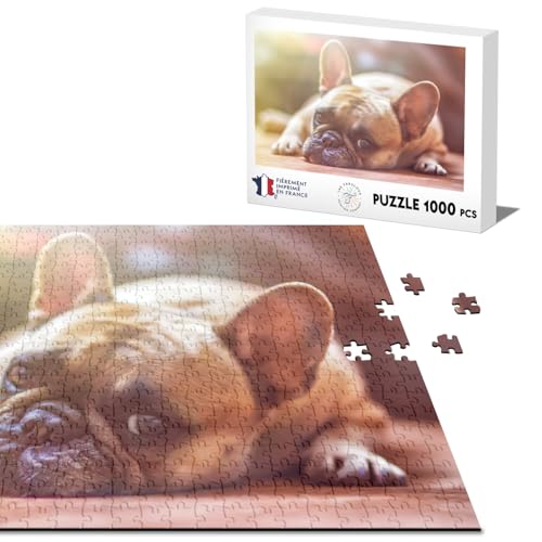 Klassisches Puzzle, 1000 Teile, Mops Pug, kleiner Hund, Sonne, Outdoor, Natur, niedliches Foto von Fabulous