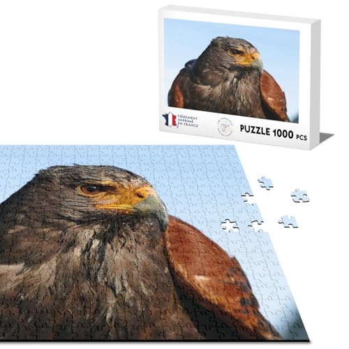 Klassisches Puzzle, 1000 Teile, Nahaufnahme auf einer Düse von Harris Rapace Wildlife von Fabulous