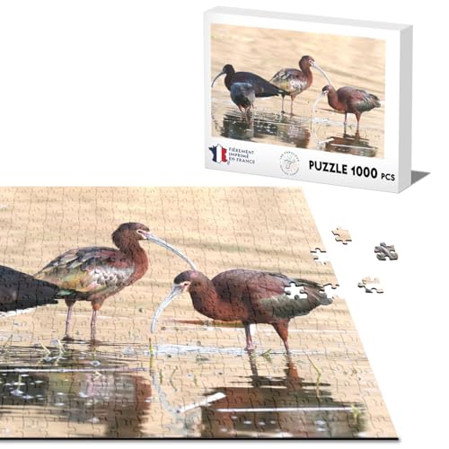 Klassisches Puzzle, 1000 Teile, Vögel, Wildtiere, lange Schnäbel von Fabulous