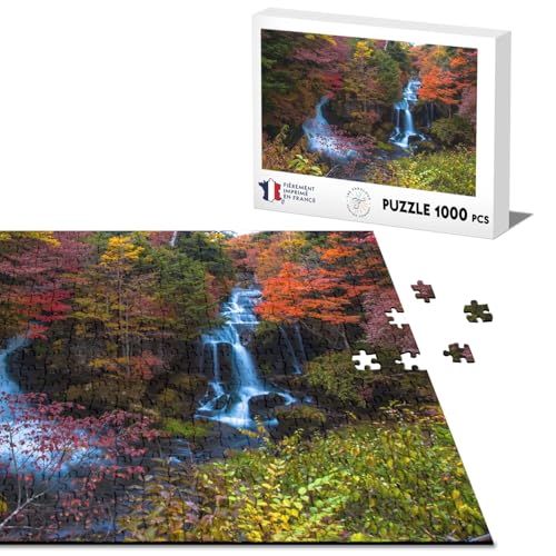 Klassisches Puzzle, 1000 Teile, Wasserfall im Herbstwald, Wildlandschaft von Fabulous