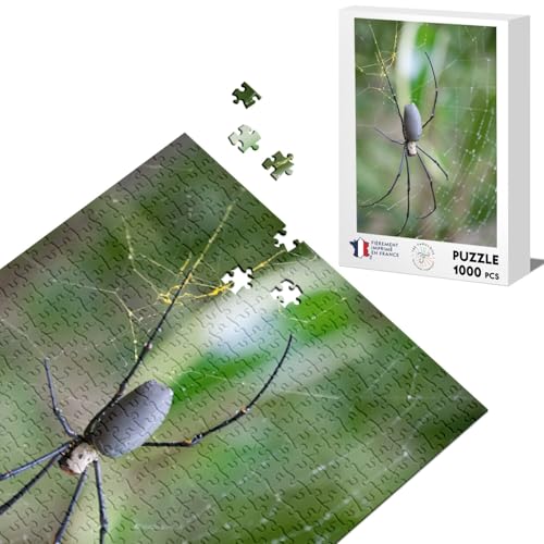 Klassisches Puzzle, 1000 Teile, große Spinne auf Leinwand, Natur, Tiere von Fabulous