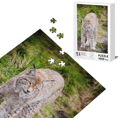 Klassisches Puzzle, 1000 Teile, großer Luchs, Wildtiere, Naturfoto von Fabulous