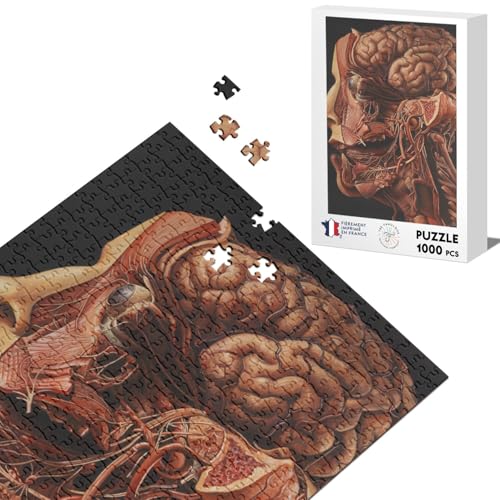 Klassisches Puzzle, 1000 Teile, menschlicher Kopf, Diessektion, medizinische Gravur, Anatomie Klassisches Puzzle, 1000 Teile, menschlicher Kopf, Diessektion, medizinische Gravur, Anatomie von Fabulous