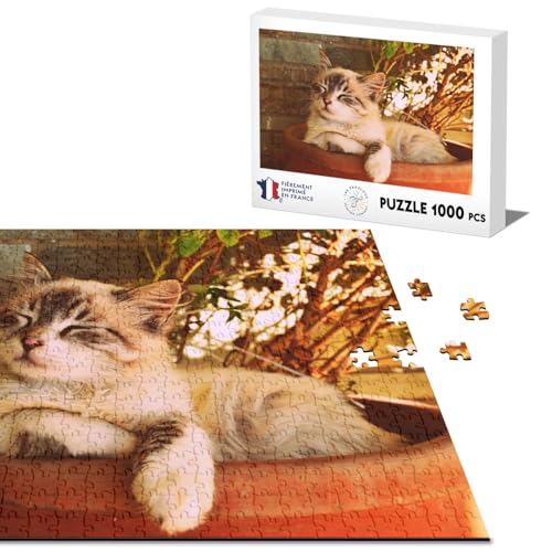 Klassisches Puzzle, 1000 Teile, süßes Kätzchen in einem Blumentopf, schlafend, lange Borsten, Katze von Fabulous