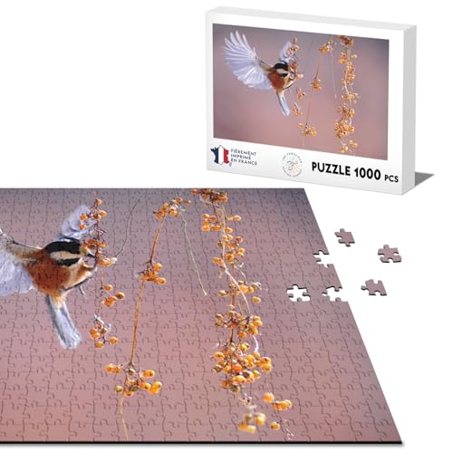 Klassisches Puzzle, 1000 Teile, wunderschöner Vogel, Flügel, Tiere, Wildleben, Naturfoto von Fabulous