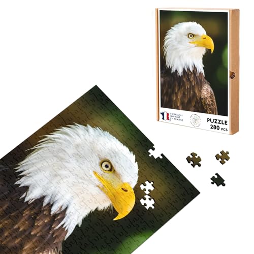 Klassisches Puzzle, 280 Teile, Weißkopfseeadler, Adler, Wildleben, Rapace von Fabulous