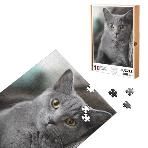 Klassisches Puzzle, 280 Teile, graue Katze, russisches Blau, niedlich von Fabulous