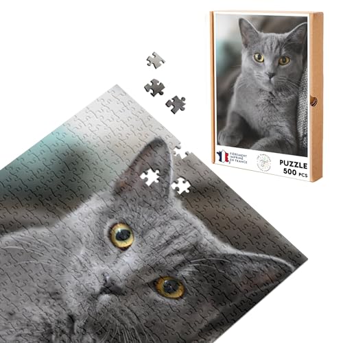 Klassisches Puzzle, 500 Teile, graue Katze, russisches Blau, niedlich von Fabulous