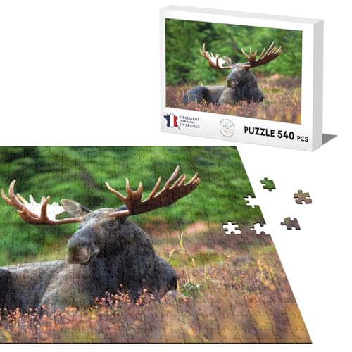 Klassisches Puzzle, 540 Teile, Elch in einer wunderschönen Wiese, Holz, Wildnis von Fabulous