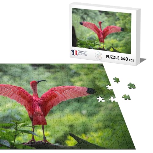 Klassisches Puzzle, 540 Teile, Ibis Rose, macht morgendliches Yoga im Wald von Fabulous