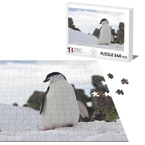 Klassisches Puzzle, 540 Teile, Kinnriemen auf Schnee, Wildnis von Fabulous