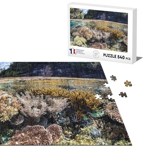 Klassisches Puzzle, 540 Teile, Koralle, Meer, Ozean, Wasser, Foto, Marine, Tauchen, Surfen, Paradie von Fabulous