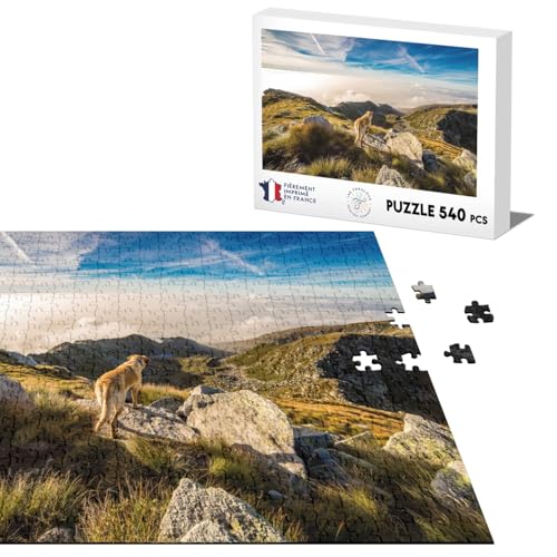 Klassisches Puzzle, 540 Teile, Labrador, atemberaubendes Bergfoto, Natur von Fabulous