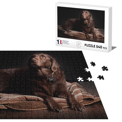 Klassisches Puzzle, 540 Teile, Labrador auf seiner Windel, Sepia, Hund, Haustier von Fabulous