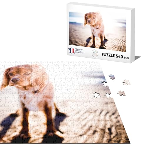 Klassisches Puzzle, 540 Teile, Motiv: Cavalier King Charles A La Plage Kleiner Hund, braun, niedlich von Fabulous