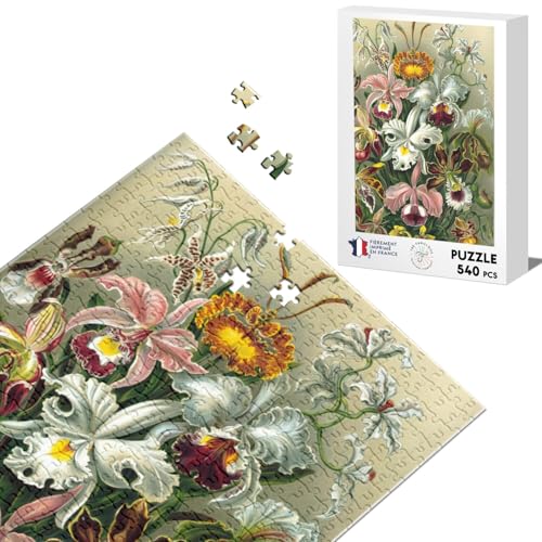 Klassisches Puzzle, 540 Teile, Orchideenbrett, Blumen, Botanisch, Gravur, alte Zeichnung von Fabulous