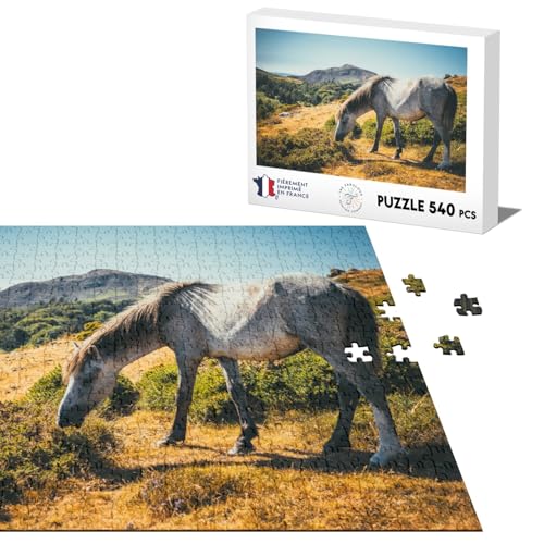 Klassisches Puzzle, 540 Teile, pfelgraues Pferd auf einer Wiese aus gelbem Gras, Natur von Fabulous