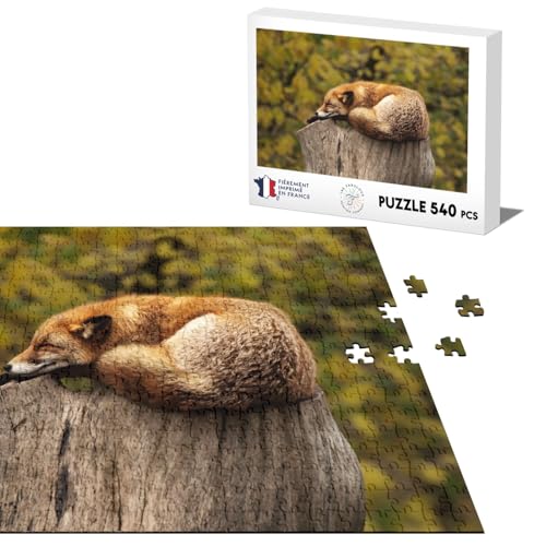 Klassisches Puzzle, 540 Teile, wunderschöner schlafender Fuchs auf einem Stamm / Naturfoto von Fabulous