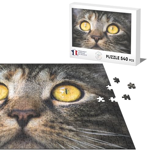 Klassisches Puzzle, 540 Teile, wunderschönes Porträt, Katze, Tiger, europäisch, gelbe Augen, Kätzchen von Fabulous