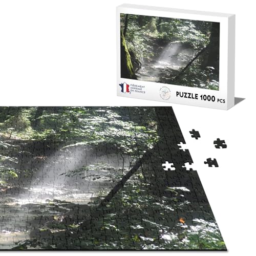 Klassisches Puzzle 1000 Teile Fluss unter Holz Sonnenstrahl Natur von Fabulous