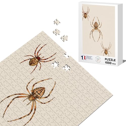 Klassisches Puzzle 1000 Teile amerikanische Spinnen Biologie Alte Illustration von Fabulous