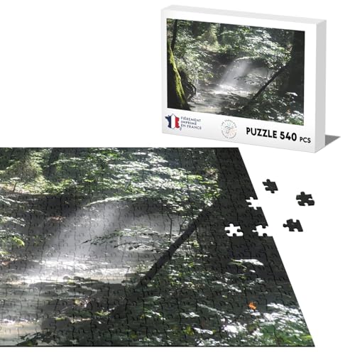 Klassisches Puzzle 540 Teile Fluss unter Holz Sonnenstrahl Natur von Fabulous