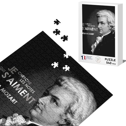 Klassisches Puzzle 540 Teile Ich suche Noten, die sich lieben Mozart Musik Zitat von Fabulous