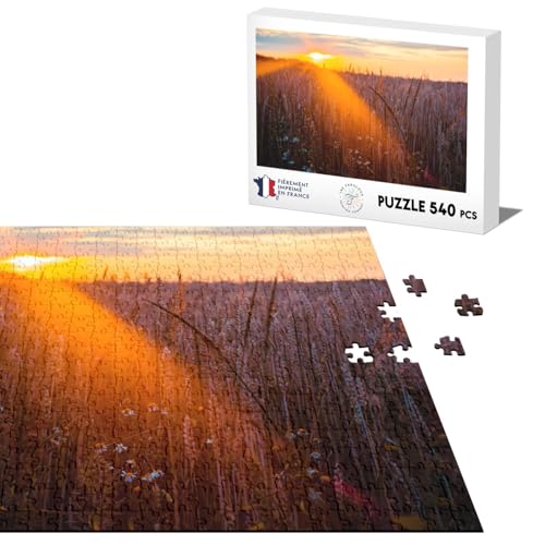 Klassisches Puzzle 540 Teile Tanzfelder in der Sonne Aufgehende Landwirtschaft Pflanze Licht von Fabulous