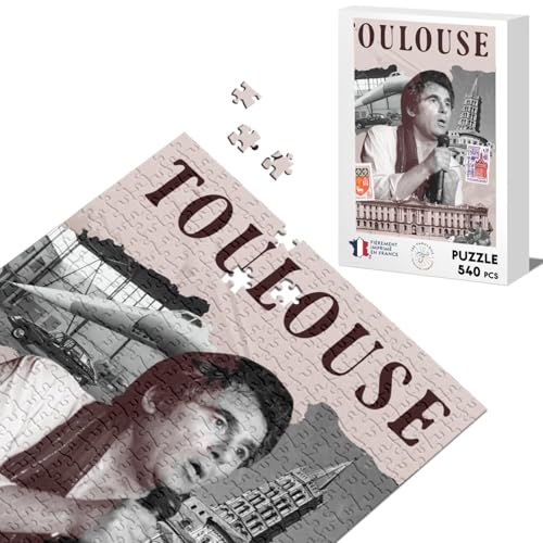 Klassisches Puzzle 540 Teile Toulouse Collage Stadt Frankreich Kapitol Symbol von Fabulous