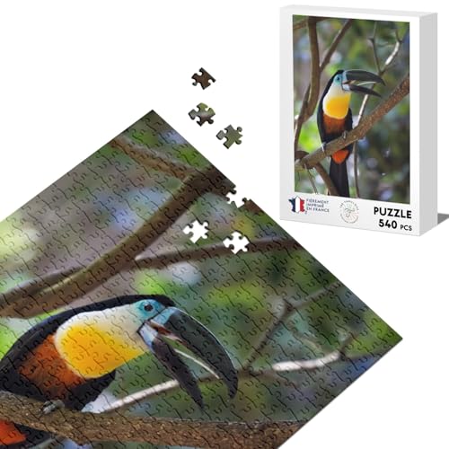 Klassisches Puzzle 540 Teile Tukan Im Wald Wild Leben Vogel Dschungel Wilde Tiere von Fabulous