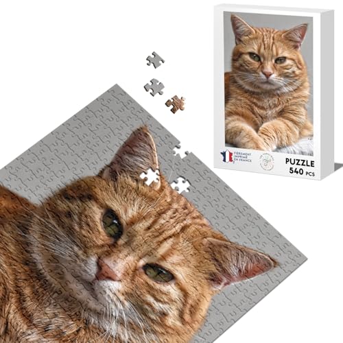 Klassisches Puzzle 540 Teile Wunderschöne/Rothaarige Langhaarige Katze/Relax/Chillen/Niedlich von Fabulous