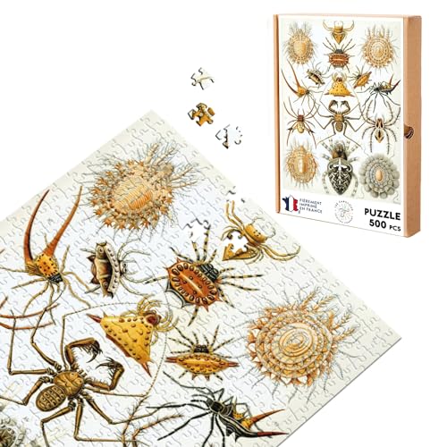 Puzzle Classic 500 Teile Insektenspinne Gravur alte Zeichnung Biologie von Fabulous