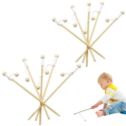 Magnetische Angelruten aus Holz, magnetische Angelruten für Kinder - 10-teiliges Angelspielspielzeug - Holz-Angelrute, Pool-Badewannenspielzeug, pädagogisches Lernspielzeug für Pool-Aktivitätszubehör von Facynde