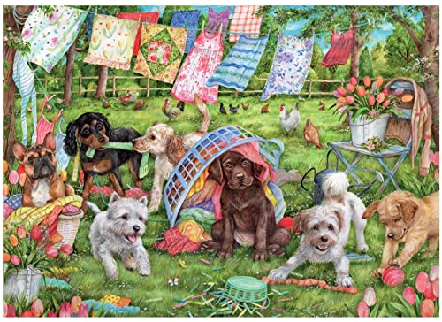 Jan van Haasteren Jumbo Spiele Falcon Puppies in The Garden 1000 Teile - Puzzle für Erwachsene von Jumbo