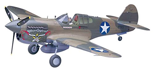 Hasegawa HAS ST29 - P-40E Warhawk von ハセガワ