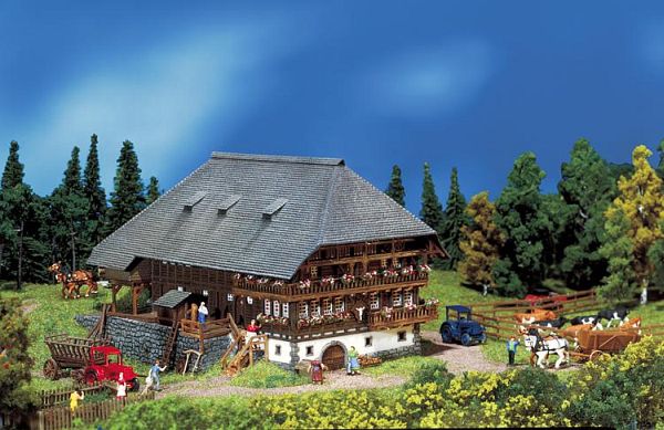 Schwarzwald-Hof von Faller