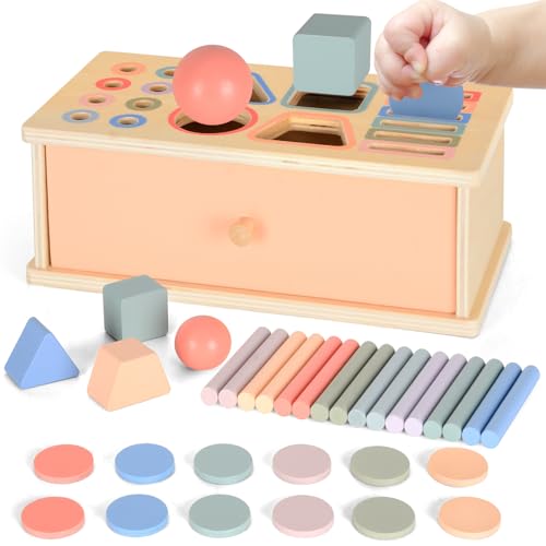 Montessori Spielzeug ab 1 2 3 Jahr, Farbe Form Sortierspiel ab 1 Jahr, Holzspielzeug Montessori ab 2 Jahre Motorikspielzeug Baby Sensorik Spielzeug Kleinkinder Lernspiele Geschenk für Jungen Mädchen Montessori Spielzeug ab 1 2 3 Jahr, Farbe Form Sortierspiel ab 1 Jahr, Holzspielzeug Montessori ab 2 Jahre Motorikspielzeug Baby Sensorik Spielzeug Kleinkinder Lernspiele Geschenk für Jungen Mädchen von Fantspati